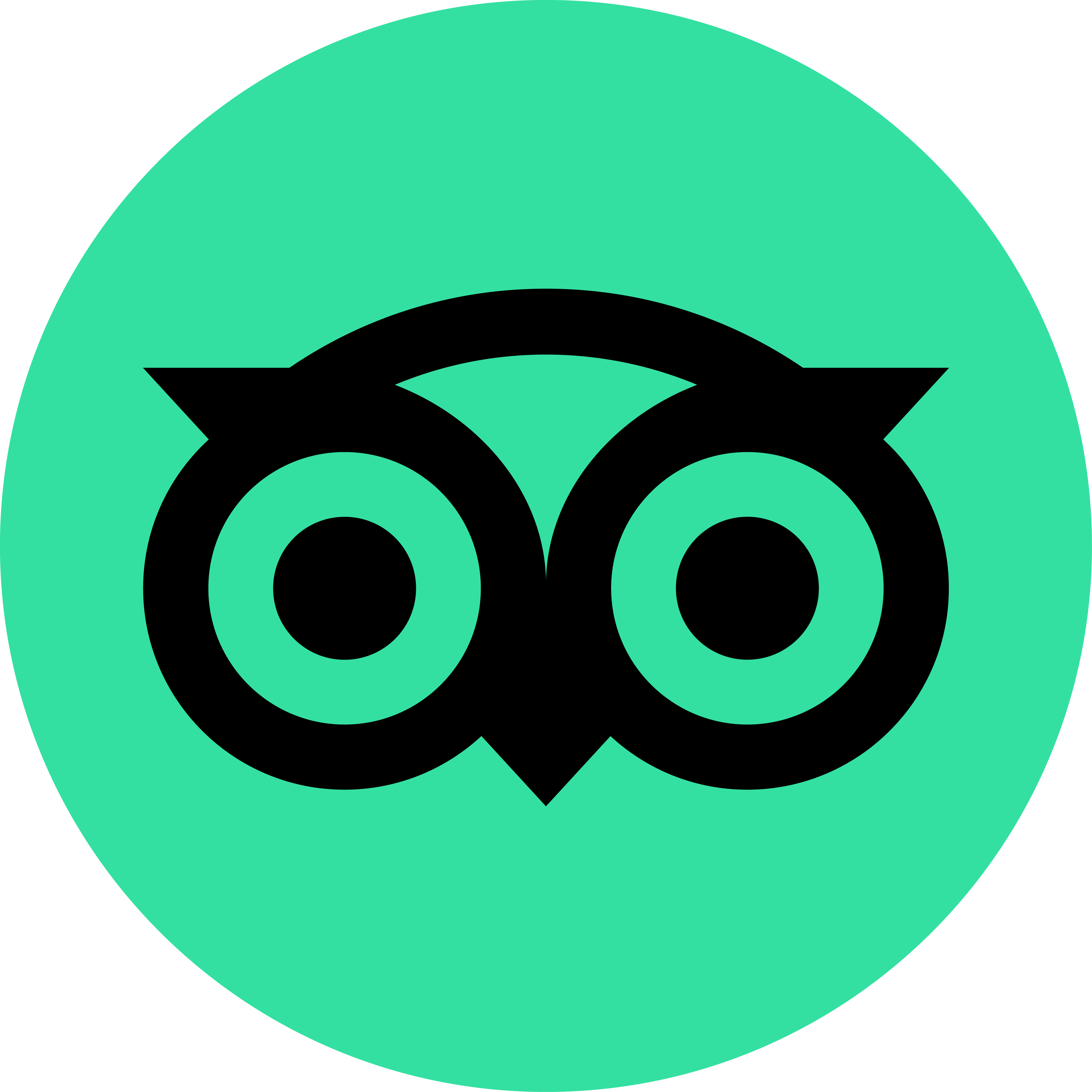 TripAdvisor