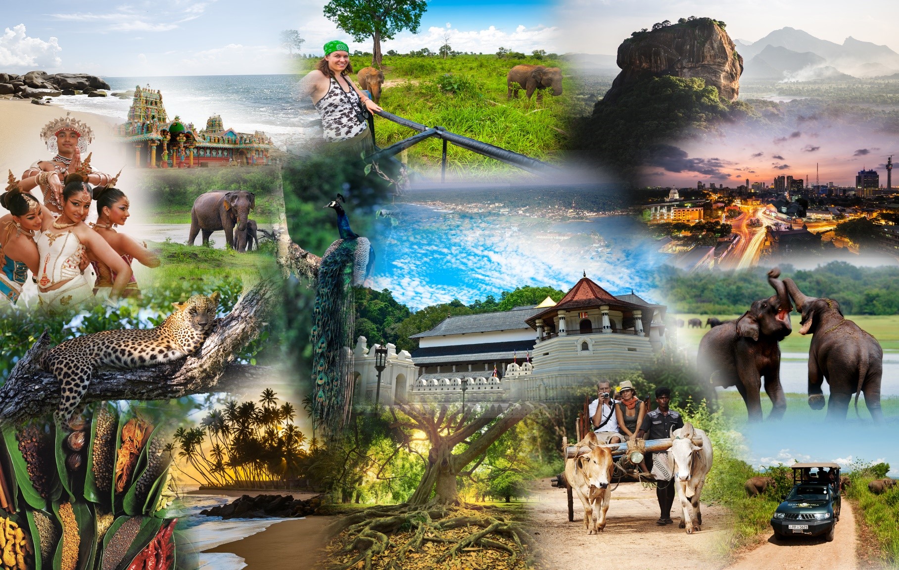 Sri Lanka Heritage Collage
